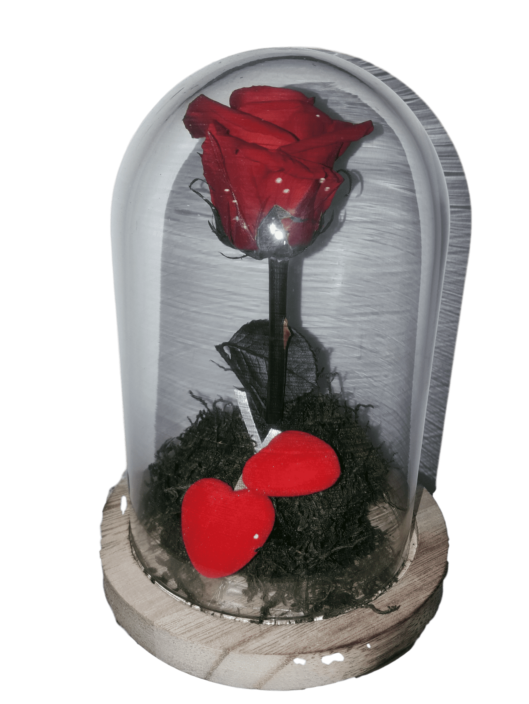 Acorazado Soviético Edredón Rosa eterna de la bella y la bestia - Envíos de flores Graficflower