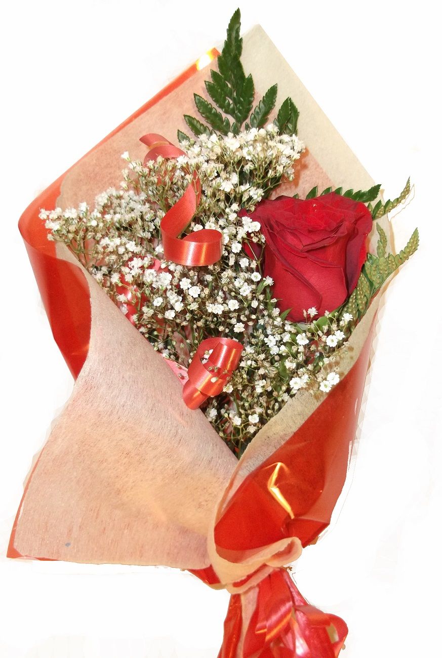 Enviar rosa roja a domicilio desde 14 € - Envíos de flores Graficflower